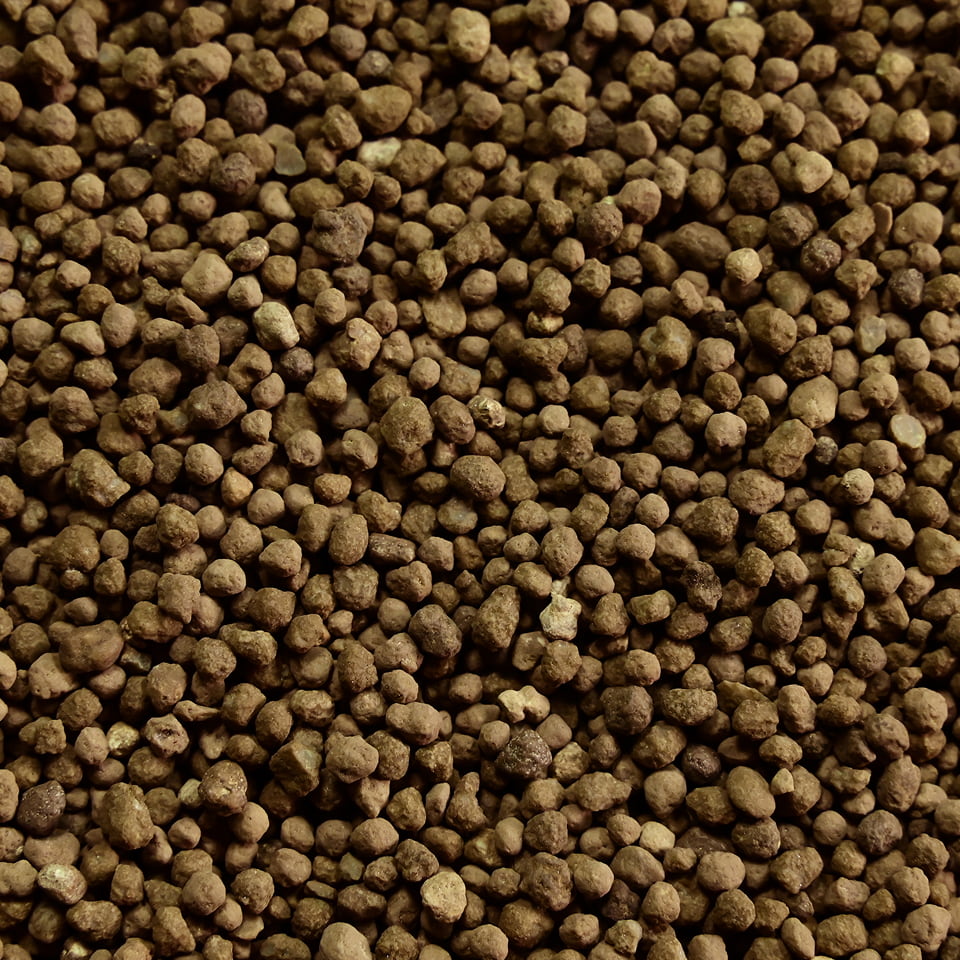 Detalhe dos grãos do produto BASEFORT