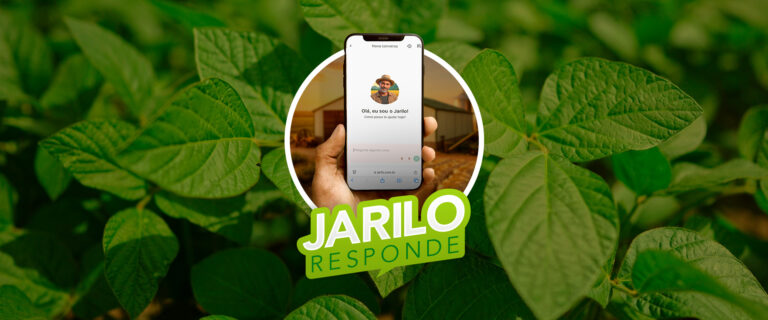 Confira tudo que o Jarilo, inteligência artificial da Cibra, sabe sobre ...